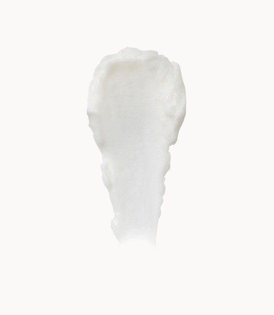 Cell Revitalise Night Moisturiser 60ml