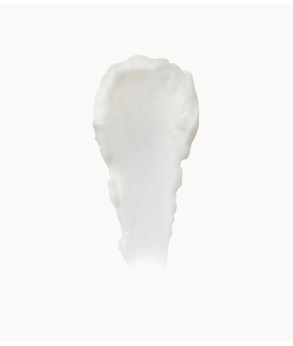 Cell Revitalise Night Moisturiser 60ml